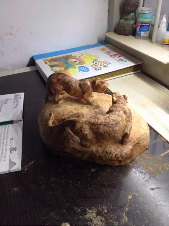 崖柏