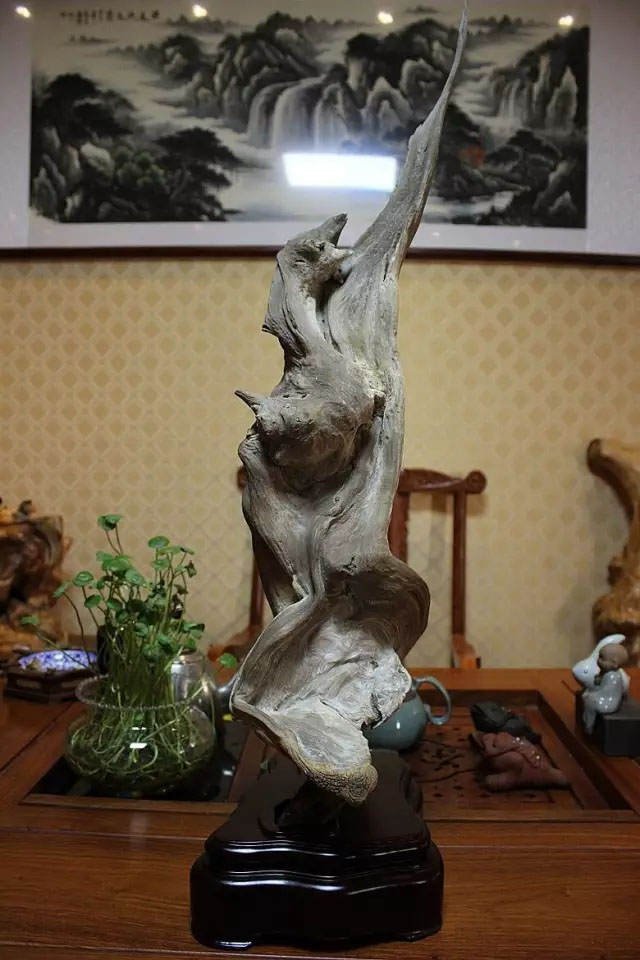崖柏舍利料