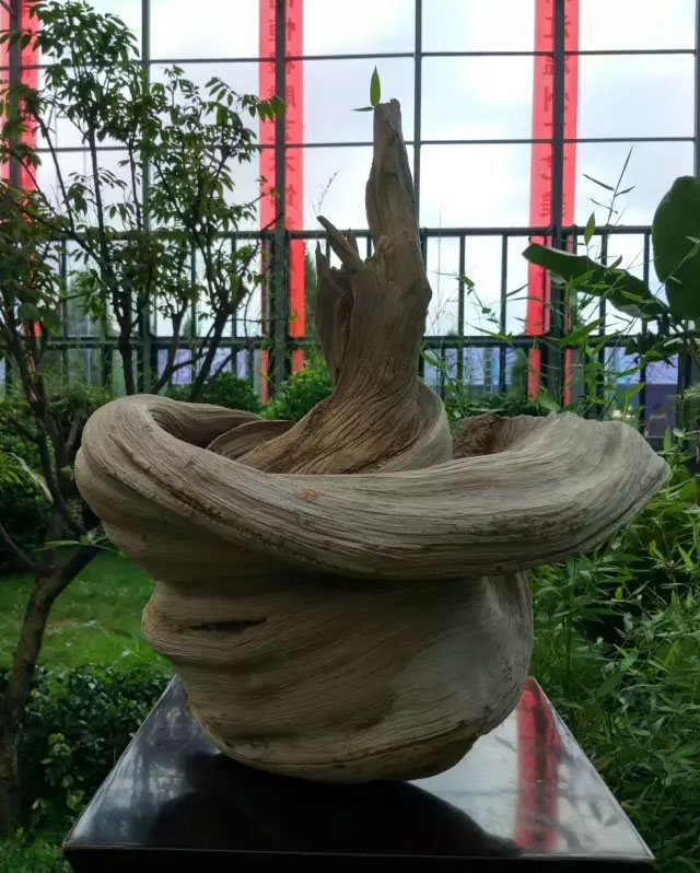 崖柏根艺
