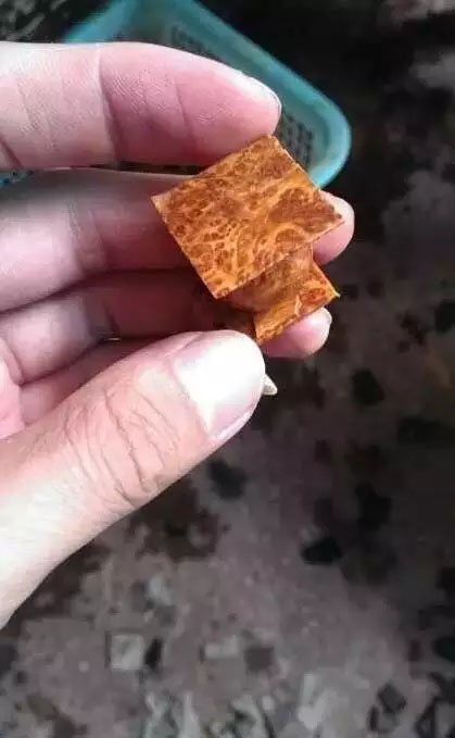 车珠子