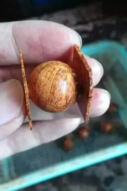 崖柏车珠子