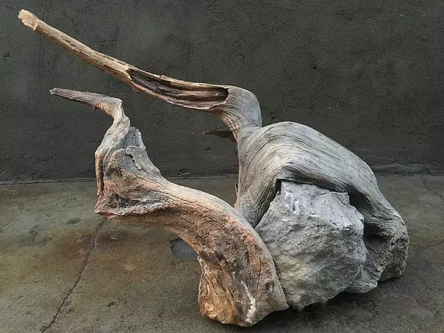 崖柏毛料