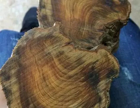 崖柏黑油料