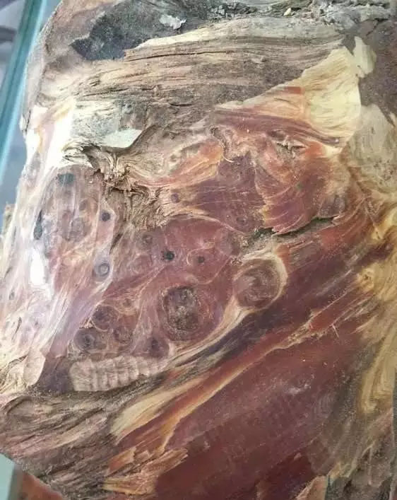 崖柏红油料